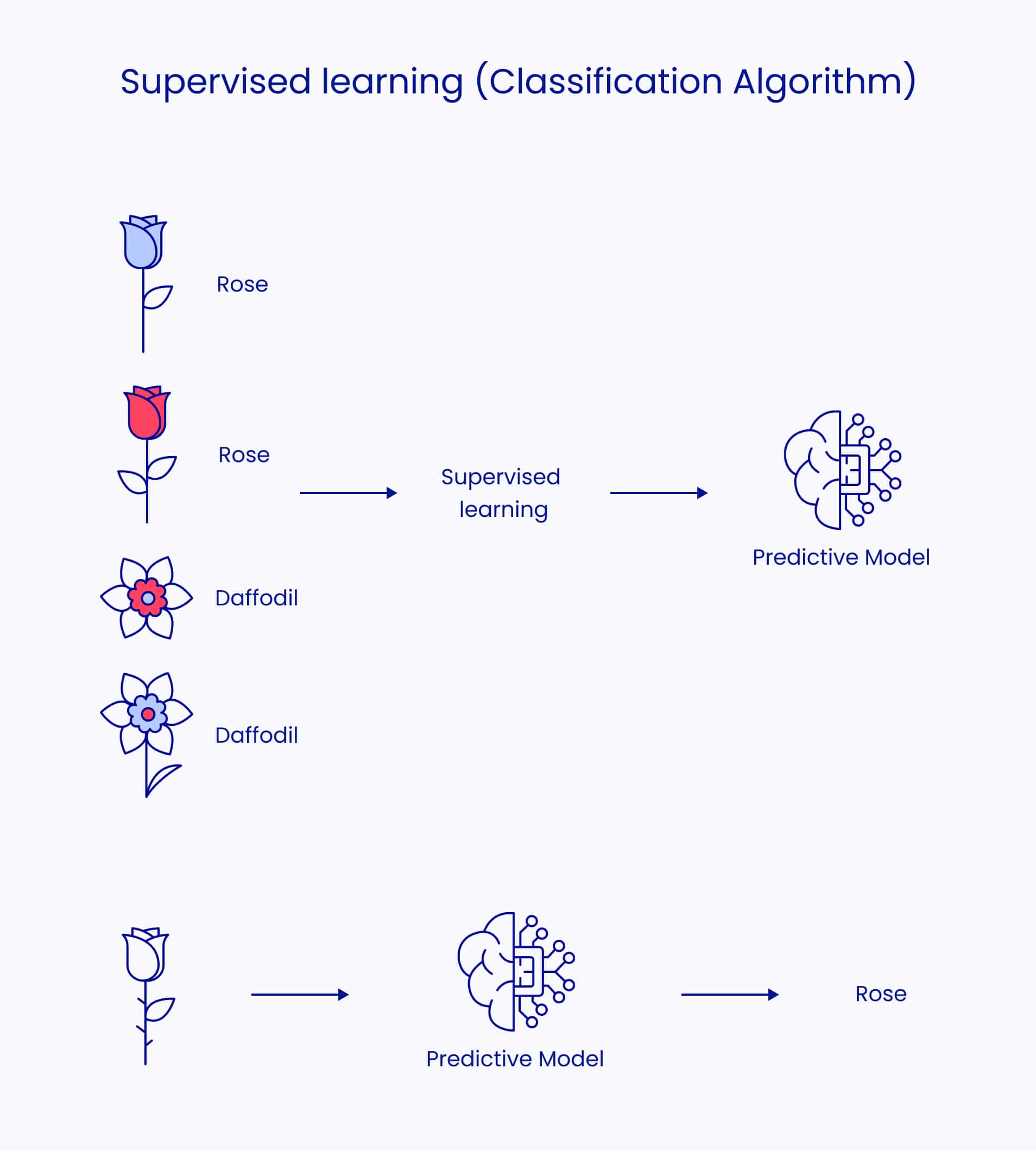 Computer Vision Machine Learning - Business Leaders' Guide